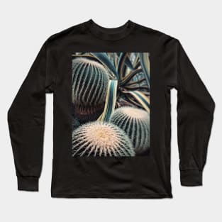 Desert Vibes Long Sleeve T-Shirt